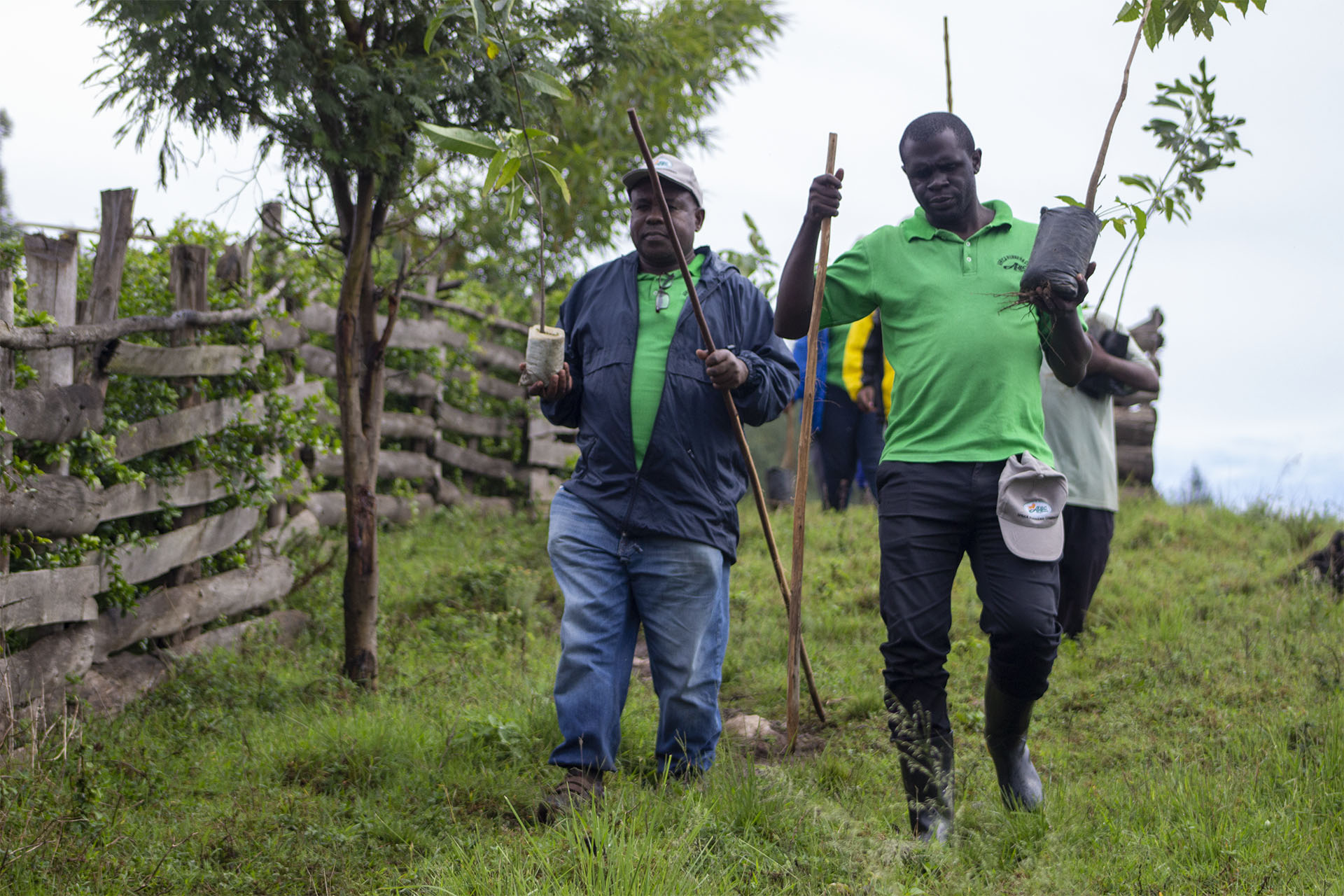 ARC team plants trees in obumwe